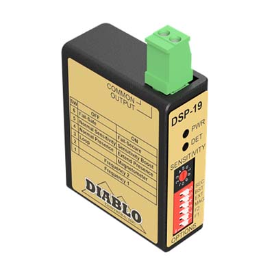 DSP-19