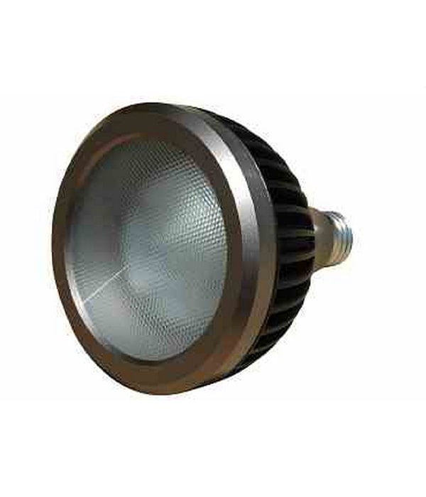 LED17W-PAR38-WP