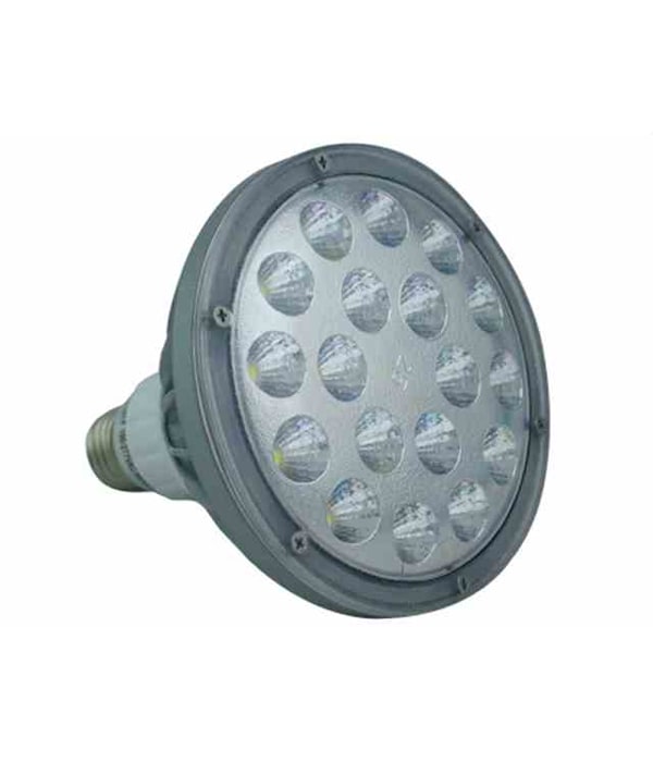 LED30W-PAR38